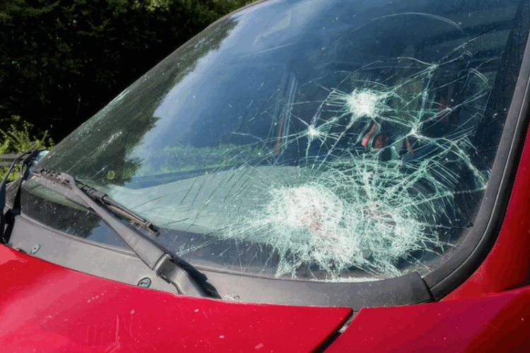 windshield repair