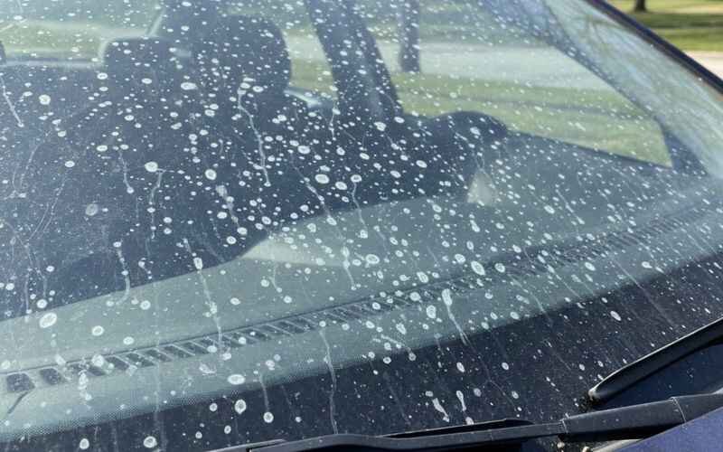 How to Remove Water Spots from Auto Glass
